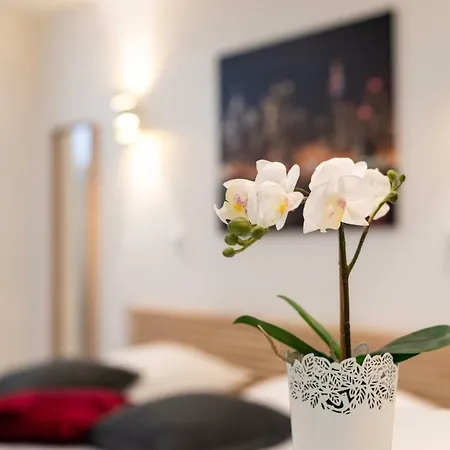 Citycosy - Hirtz Orangerie Strasburgo