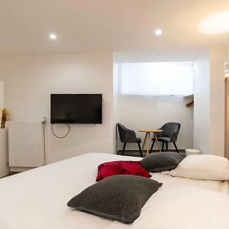 Citycosy - Hirtz Orangerie Apartment *