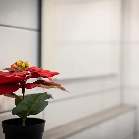 Citycosy - Hirtz Orangerie Apartment