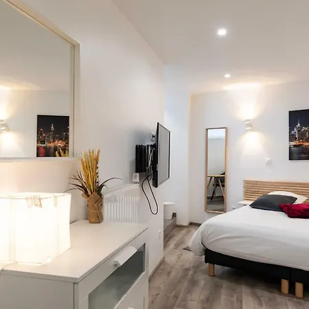 Citycosy - Hirtz Orangerie Apartment Strasbourg