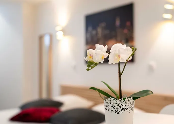 Citycosy - Hirtz Orangerie Страсбург