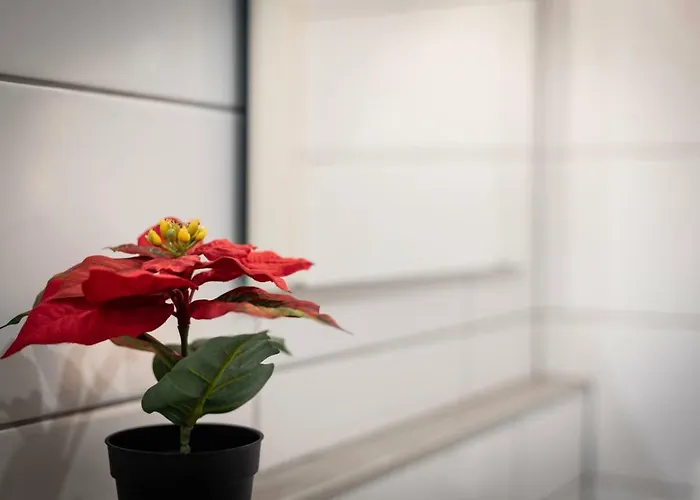 Citycosy - Hirtz Orangerie Апартаменты