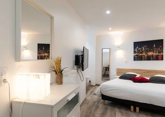 Citycosy - Hirtz Orangerie Апартаменты Страсбург